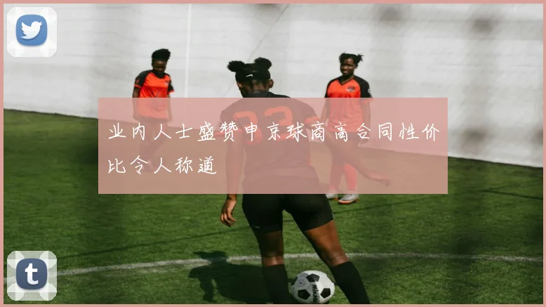 业内人士盛赞申京球商高合同性价比令人称道